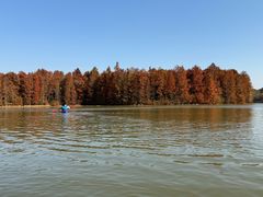 -上海海湾国家森林公园