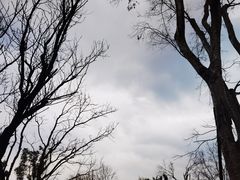 -白鹭湾湿地公园