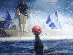 -成都浩海立方海洋公园