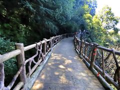 -少华山国家森林公园