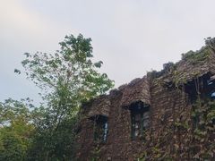 -白塘生态植物园