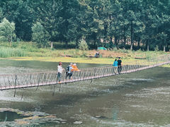 -白河湾生态旅游一条川