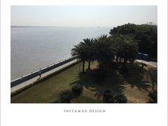 -大湾区中央湿地公园