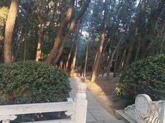 -林海公园