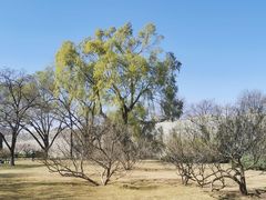 -北京明城墙遗址公园