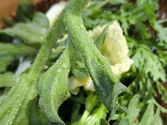 -由衷贵州酸汤牛肉火锅(新桥店)