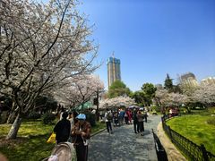 -堤角公园