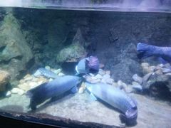 -左海海底世界