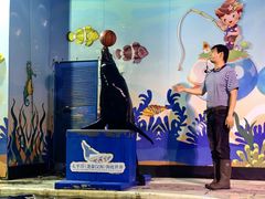 -太平洋海底世界