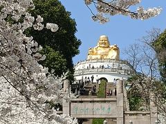 -苏州上方山国家森林公园