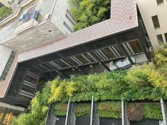 -上海崇明金茂凯悦酒店