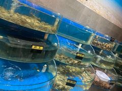 -蓝珊甄选海鲜自助·火锅大排档(近阿那亚店)