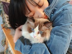 -喵屿·大理花园猫咖