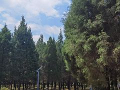 -东升八家郊野公园