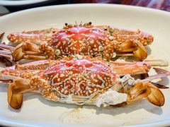 蓝蟹-顺德了能馆(虎门店)