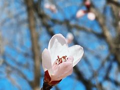 -青城公园