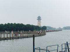 -溱湖国家湿地公园