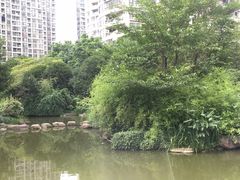 -新湖明珠城
