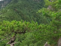 -罗田天堂寨风景区