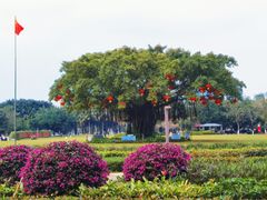 -万绿园