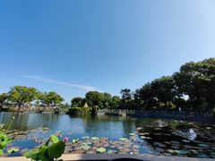 -无锡蠡湖国家湿地公园-蠡园