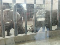 -石家庄市动物园