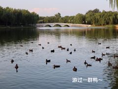 -陶然亭公园