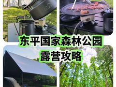 -东平国家森林公园