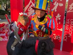 -灵玲国际马戏城