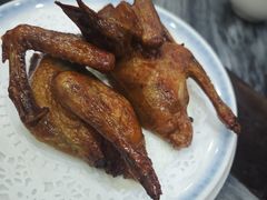-鸽鸟轩(石岐店)