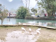 -靖西鹅泉风景区