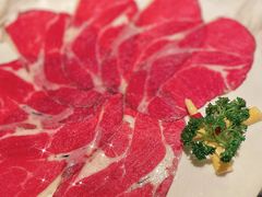 -汤城·料青山