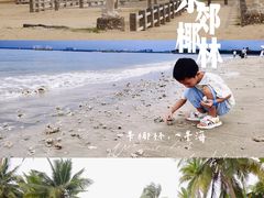 -东郊椰林