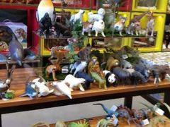 -Behring World of Animals(上海自然博物馆店)