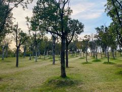 -牛岗山公园