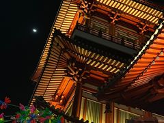 -新加坡佛牙寺龙华院