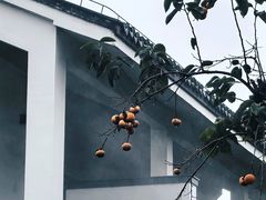 -广富林宰相府酒店·水云间