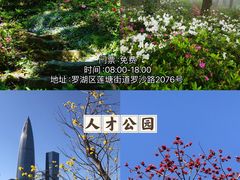 -梧桐山风景名胜区