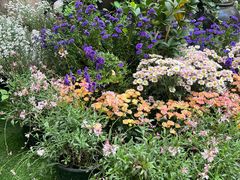 -BOCATA 西班牙餐厅(三里屯店)