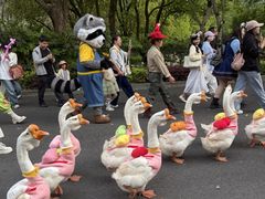 -杭州野生动物世界