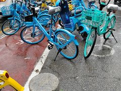 -白鹤大冷面