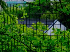 -临平公园(临平街道)