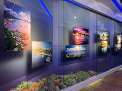 -哈尔滨规划展览馆