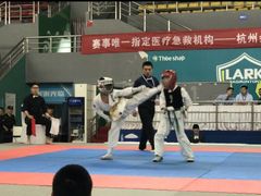 -极真空手道修远道场