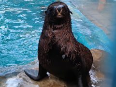 -成都浩海立方海洋公园