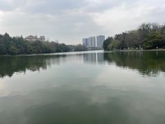 -天鹅湖体育公园