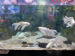 -正佳极地海洋世界