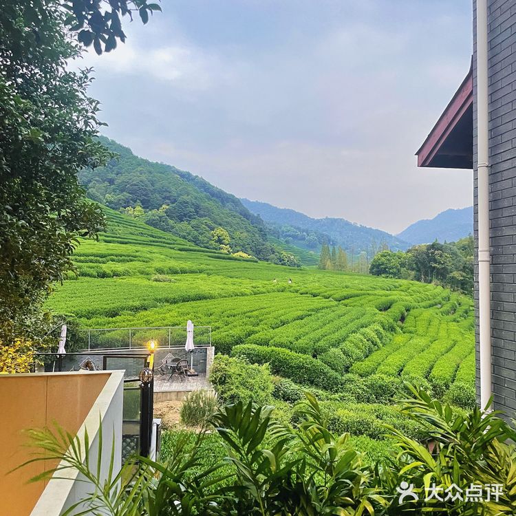 云径天竹🍃藏在山里的治愈咖啡馆🍵