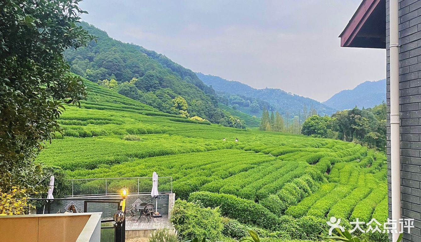 云径天竹🍃藏在山里的治愈咖啡馆🍵
