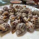 海口宝藏海鲜代加工店